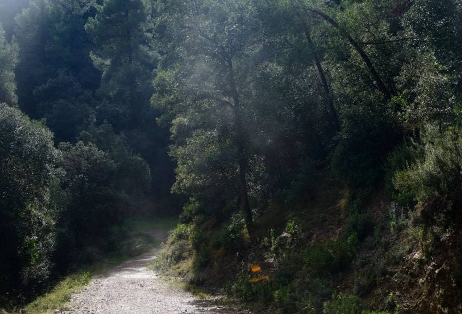 Barcelona stärker skyddet av naturparken Collserola